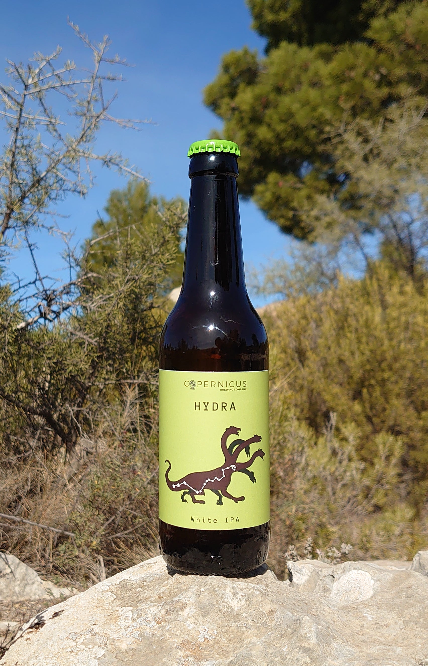 Botellín de 33cl de cerveza Copernicus Hydra - White IPA